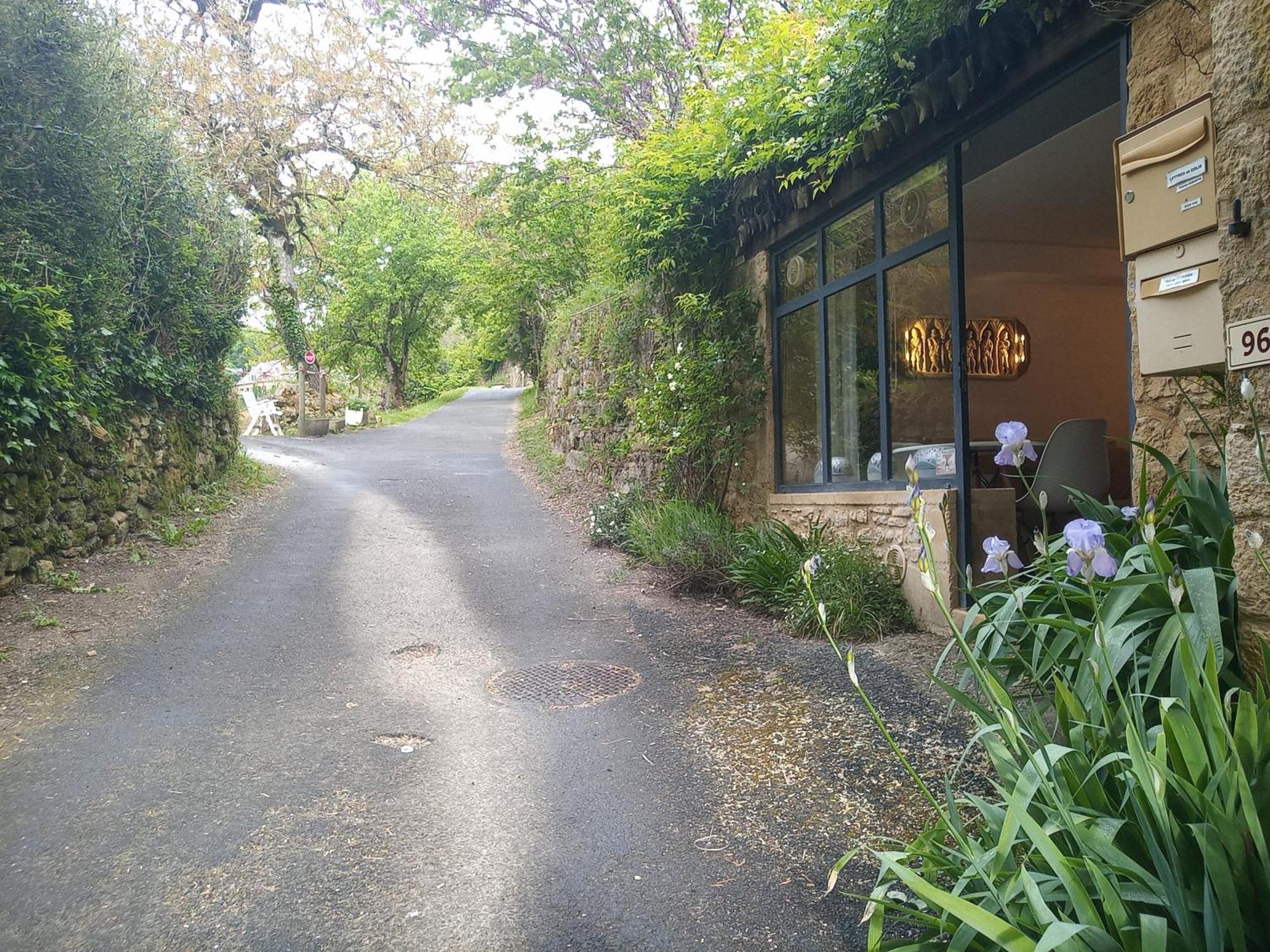 Chambre Du Sabotier - Studio Troglodytique - A 100 M Baignade En Riviere - Location De Canoe - Circuits Cyclo - Aire De Pique-Nique - 3 Restaurants Castelnaud La Chapelle Dış mekan fotoğraf